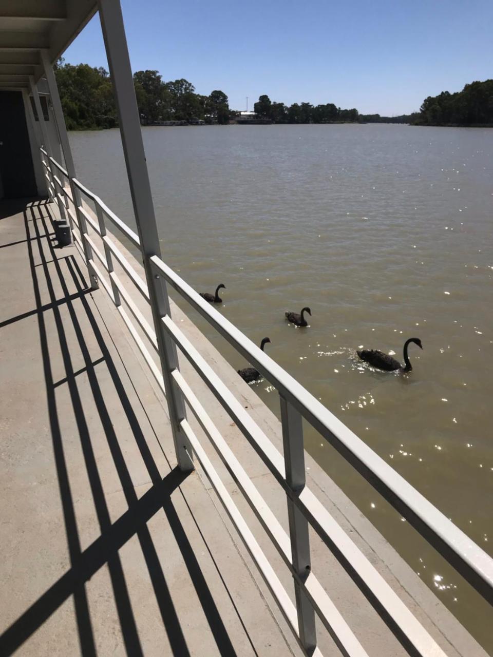 Murray River Queen Otel Renmark Dış mekan fotoğraf